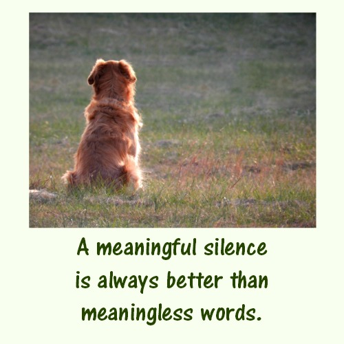 Silence Is More Powerful Than Words